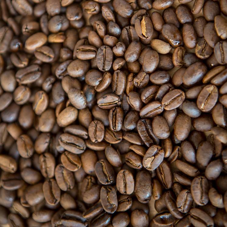 Haiti - Single Origin - Dawn Patrol
