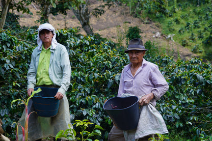 Single Origin Colombia