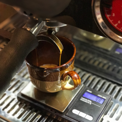 Wavelength Espresso - Signature Blend - Dawn Patrol